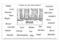  Wald  Arbeitsblatt  in der Grundschule Deutsch  